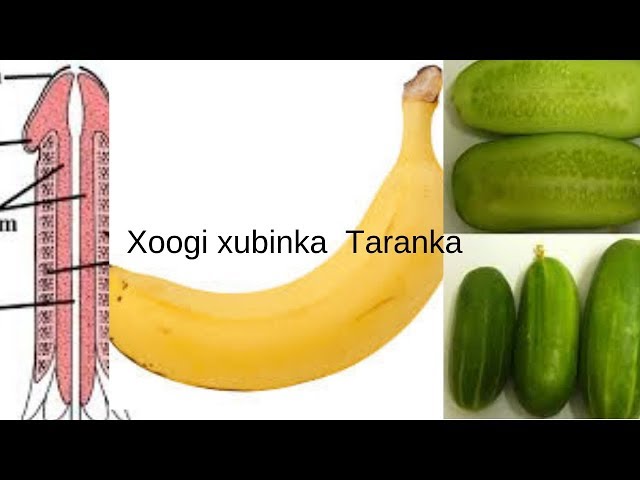 Keksa ayollarning samimiy fotosuratlari Dakota Skye anal jinsiy aloqada vibrator bilan