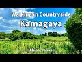 Countryside walking in kamagaya chiba  japan walking tour