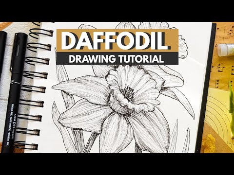 Video: Daffodil Iliyofichwa
