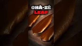how the use to make tea holder in China
