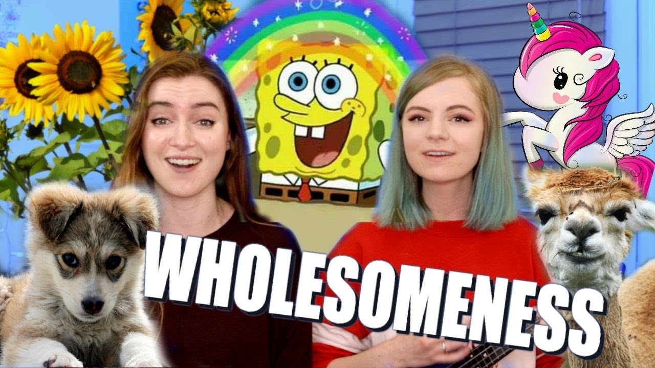 THE MOST WHOLESOME SONG ON THE INTERNET (ft. Elise Ecklund)