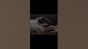 نحارب ظلمة الدنيا 