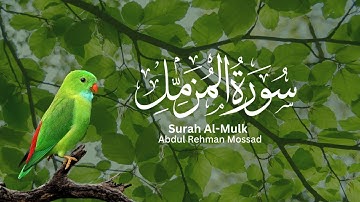 Surah Muzzammil (Enshrouded One) | Abdul Rehman Mossad | سورة المزمل | عبدالرحمن مسعد