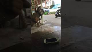 eren-pelengkap hidupku cover