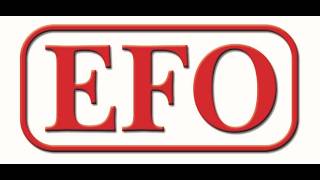 Efo Elektrik - Protecting the Grid, Powering the Future