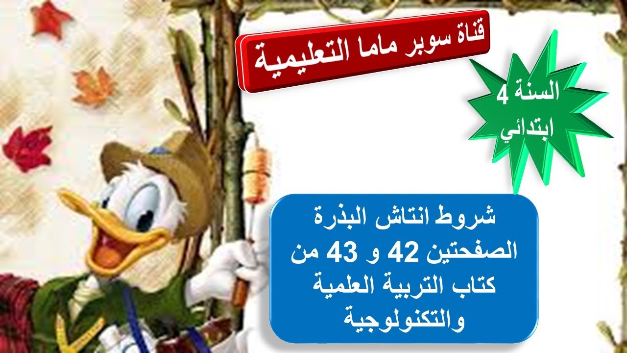 شروط إنتاش البذرة الصفحتين 42 و 43 من كتاب التربية العلمية والتكنولوجية.السنة الرابعة ابتدائي.