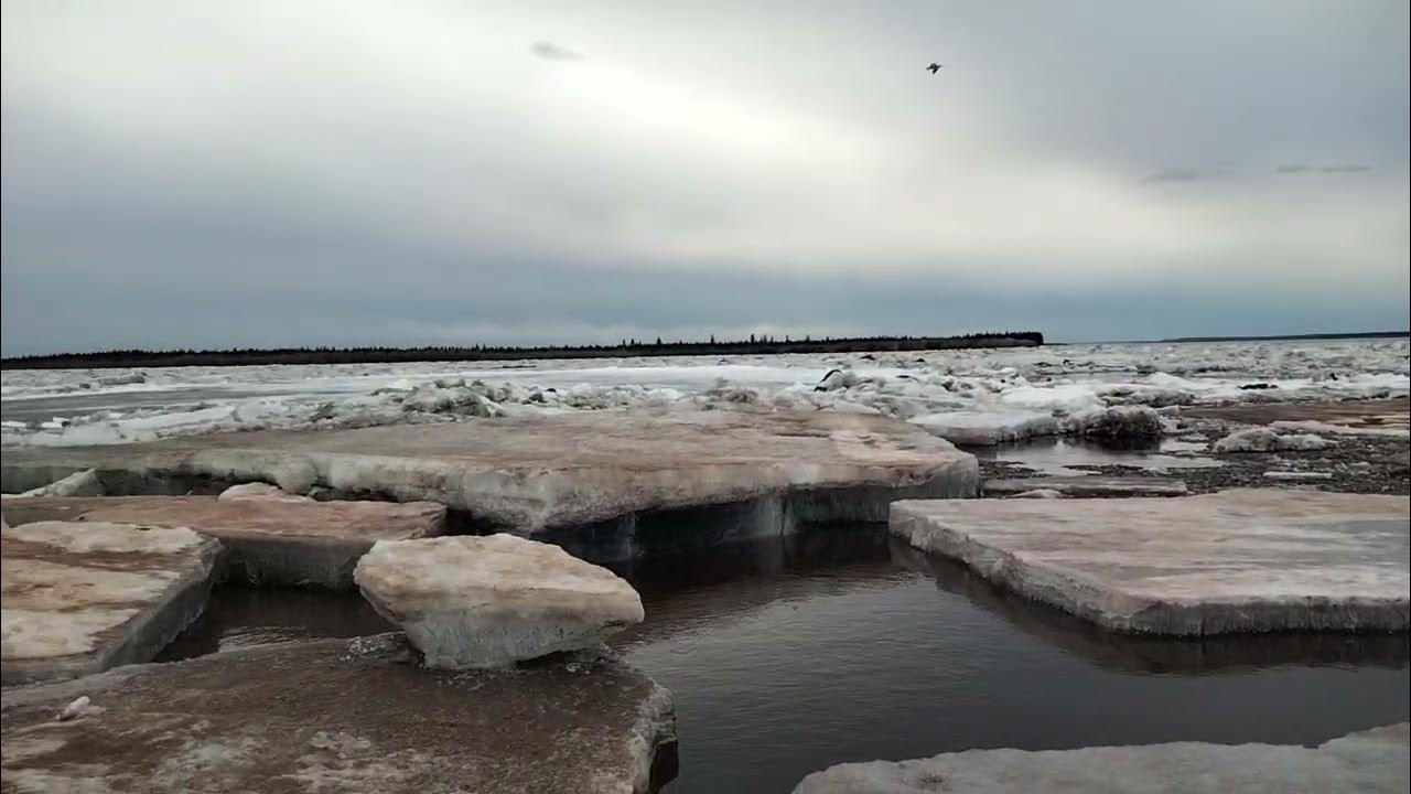 Ледоход на вилюе. Ледоход на вилюе