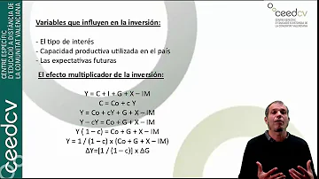 ¿Qué es la función inversión en macroeconomía?