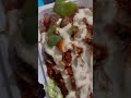 Gyro chicken and lamb over rice with extra white sauce gyro chicken lamb extra