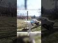 Dog Owners Couldn't BELIEVE Their Dogs Would Do This🥶😳 - Social Experiment