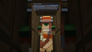 Minecraftta Köylü Bulmanın Farklı Yolları