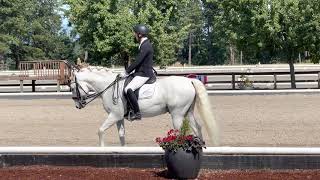 Duggie Third level test 3 64%+ Donida Festival 2021 #ridethewrightway www.wwarena.com
