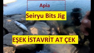 Apia Seiryu Bits Jig. ister kıç, ister baş taraftan tak balık olsun yeter  Eşek istavrit avı