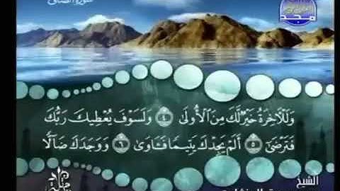 سورة الضحي ترتيل الشيخ محمد صديق المنشاوي من قناة360P