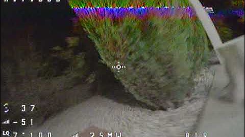 BetaFPV Meteor65 Pro 2022 - Backyard Bash