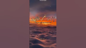✨فانها لا تعمى الابصار ولكن تعمى القلوب التي في الصدور 🧡✨#وديع_اليمني #تلاوة_خاشعة#قرآن#Quran#آيات