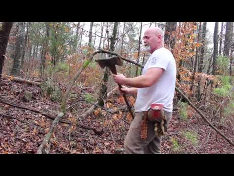 Limbing a Tree and Dangerous Bent Sapling
