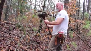 Limbing a Tree and Dangerous Bent Sapling