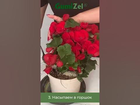Удобрение GumiZel (ГумиЦел) для комнатных растений, рассады, для сада и ...