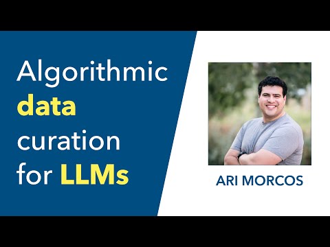 Algorithmic Data Curation for LLMs Ari Morcos