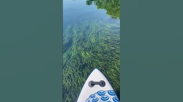 Thumbnail of Relaxing Aesthetic Nature Scenery - Weightless Marconi Union Most Relaxing Sound