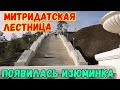 Крым.Реставрация МИТРИДАТСКОЙ лестницы.ОФИГЕТЬ.Появилась ИЗЮМИНКА.Перемены в Аджимушкае.Свежачок!