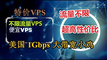 【千兆极速1Gbps不限量VPS】美国超高性价比不限流量VPS黑色星期五2025年四月超高性价比VPS 美国西海岸虚拟主机VPS大流量 大带宽服务器 春节洛杉矶VPS大促中 油管轻松播放超高清4K视频