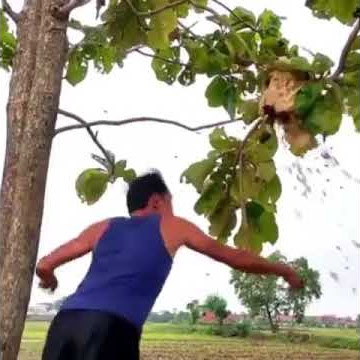 SALAM DARI MAJALENGKA || VIRAL TIK-TOK