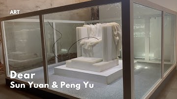 Sun Yuan & Peng Yu “Dear” Installation, at 58th International Art Exhibition Venice, Italy