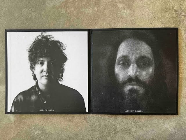 Vincent Gallo Honey Bunny ヴィンセント・ギャロ 廃盤 新着- Vincent GalloによるButterfly、LP盤のみ世界限定3000枚で