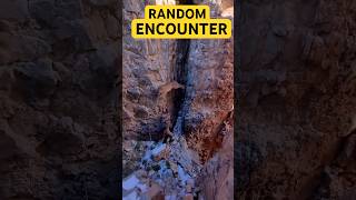 Random Encounter nedir? #dndtips #dungeonmaster #randomencounters #keşfet