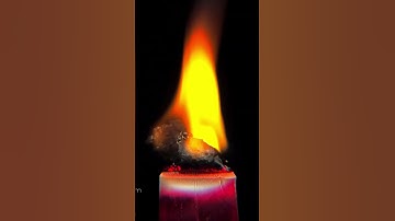 The Oddly Satisfying Science of ASMR