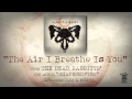 THE DEAD RABBITTS - The Air I Breathe Is You (Official Stream)