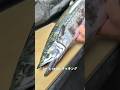⚠️40秒でわかる‼️【鰆(サワラ)捌き方】丁寧に愛を持って捌くことは美味しさにも比例する🔥#japan #shorts #howto