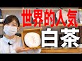 【白茶】3分でわかる！中国茶の専門家が解説します