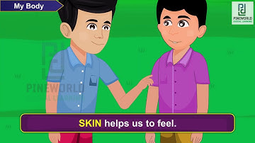 Class 1 - Sem 1 - EVS - My Body