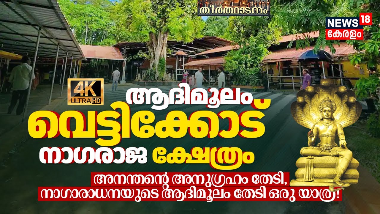 Aadimoolam Vetticode Nagaraja Temple🐍 നാഗദോഷം മാറും! പരശുരാമൻ പ്രതിഷ്ഠിച്ച ആദ്യ നാഗക്ഷേത്രം 4K |N18V