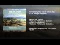 Symphony No 5 In C Minor Op 67 I Allegro Con Brio Symphony No 5 In C Minor Op 67 I Allegro Con Brio
