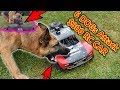 Pack of Dogs Attack $800 RC Car - 50mph Chase