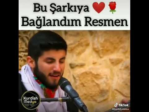 Şarkıya bayıldım ya