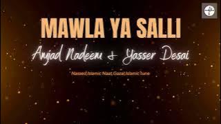 Maula Ya Salli _ Amjad Nadeem & Yasser Desai #maulayasalliwasallim