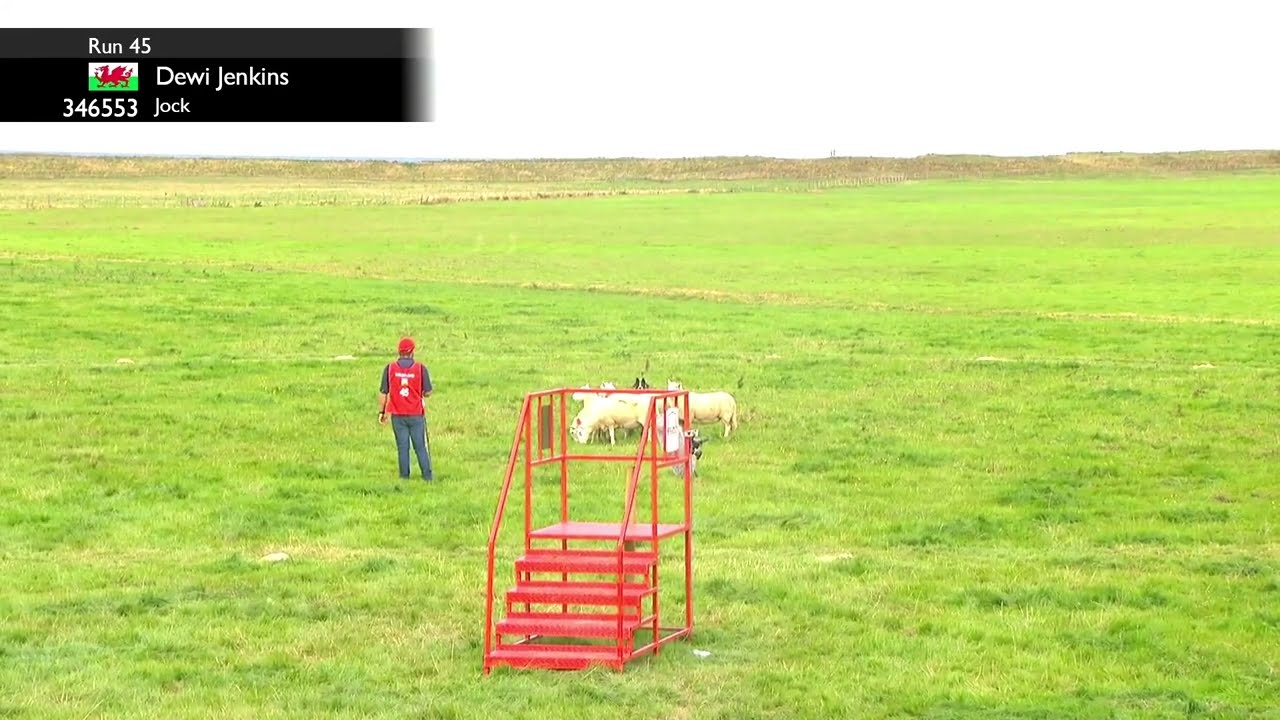 Деви Дженкинс и Джок ‐ Международная высшая квалификация