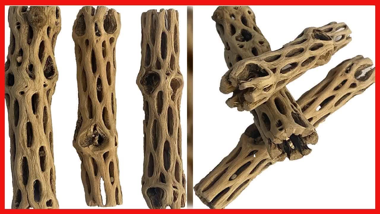 Awesome Aquatic Natuurlijke Cholla Choya Hout Combo 4 Stuks 2