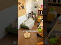 一人暮らしの味方！1台2役のソファベッドが最高すぎて、QOL爆上がりした件。