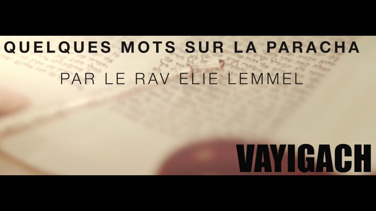 Quand un chien attaque ! Rav Elie Lemmel - Paracha Vayigach