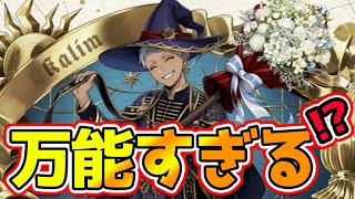 【ツイステアプデ速報!!】とってもいい笑顔のカリムが万能！？メリットデメリットを独断と偏見で喋るんだからっ【獅導】【ツイステッドワンダーランドTwisted-Wonderland】