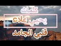 قلبي الجامد   يحيي علاء  كلمات      