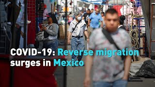 COVID-19: Reverse migration surges in Mexico