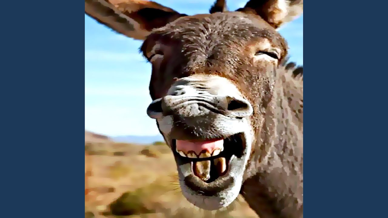 Guarda Pandu su YouTube