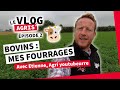 Luzerne herbe mas  quel fourrage pour mes vaches   le vlog agris  lg seeds